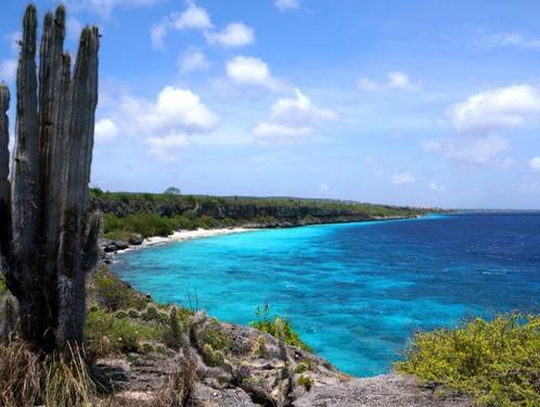 Vakantie In italie in vakantiehuizen aan de kust, Vacances, Maisons de vacances | Belgique