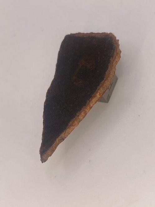 brachinite NWA 16900 - 5.31 g - (1), Verzamelen, Mineralen en Fossielen
