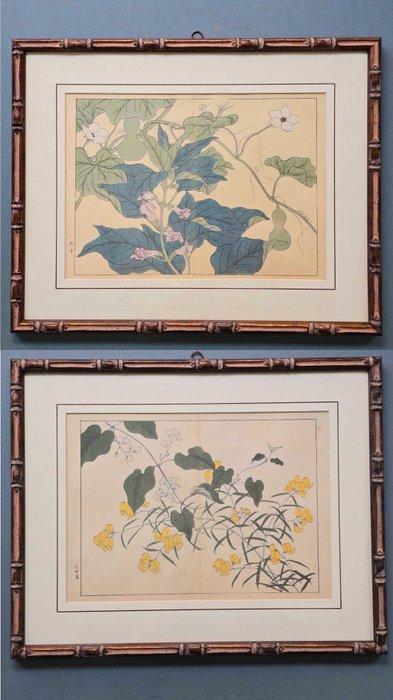 Décoration murale (2) - Japon - Paire de tableaux floraux, Antiek en Kunst, Kunst | Designobjecten