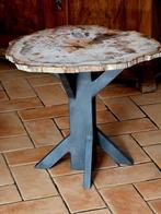 Salontafel - fossiel hout en ijzer