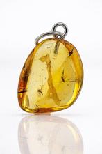 Barnsteen - Super Rare Multi-Inclusion BALTIC AMBER – 4