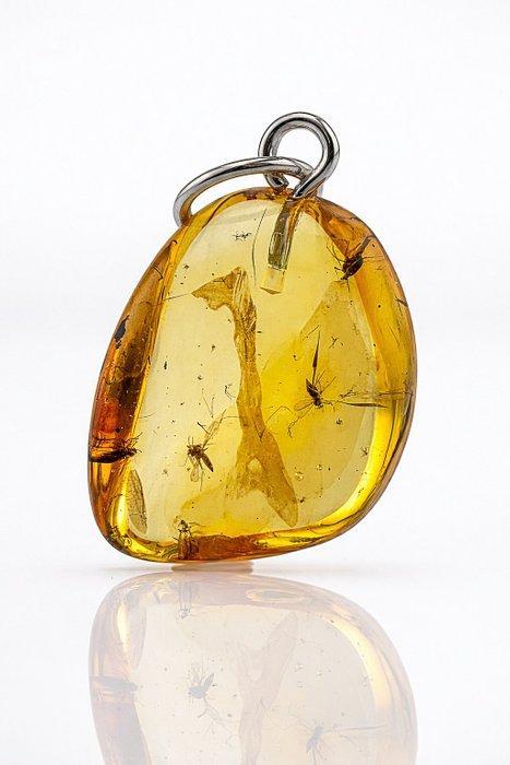 Barnsteen - Super Rare Multi-Inclusion BALTIC AMBER – 4, Collections, Minéraux & Fossiles