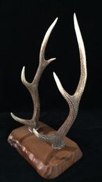 Deer antlers /  KATANA KAKE Samurai Sword Rack / Japanese, Antiquités & Art