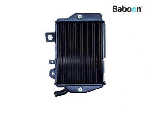 Radiateur gauche Triumph Tiger 900 GT Pro 2022, Motoren, Onderdelen | Overige, Verzenden