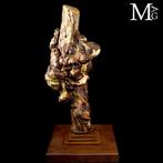 Natuurlijk tumoraal knooppunt - Alnus sp. Ongelooflijke