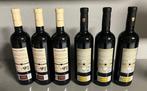 2018 (x3) & 2019 (x3) Pinna Fidelis - Ribera del Duero Gran, Nieuw