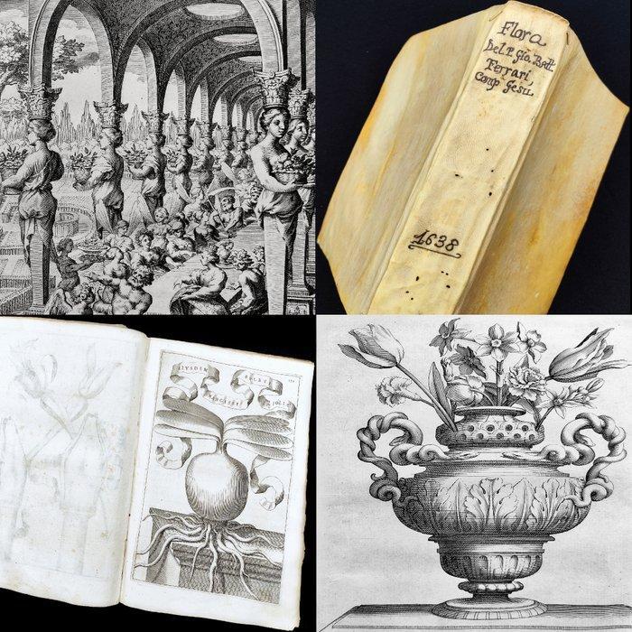 Giovanni Battista Ferrari illustrated by Pietro Berrettini, Antiquités & Art, Antiquités | Livres & Manuscrits