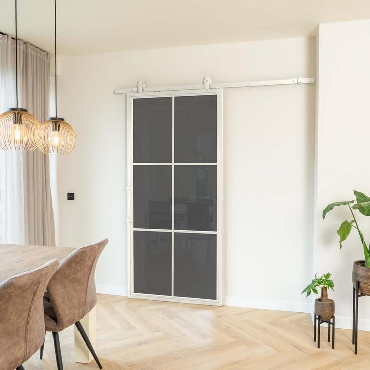 Stalen Schuifdeur - 6 Vlaks - Wit - Rook glas, Doe-het-zelf en Bouw, Raamkozijnen en Schuifdeuren, Inclusief glas, Nieuw, Metaal
