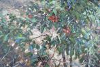 Chris van Dijk (1952) - Impressionist  Nature morte dans la