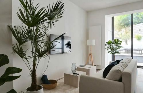 Appartement en Chaussée de Boondael, Ixelles, Immo, Appartementen en Studio's te huur