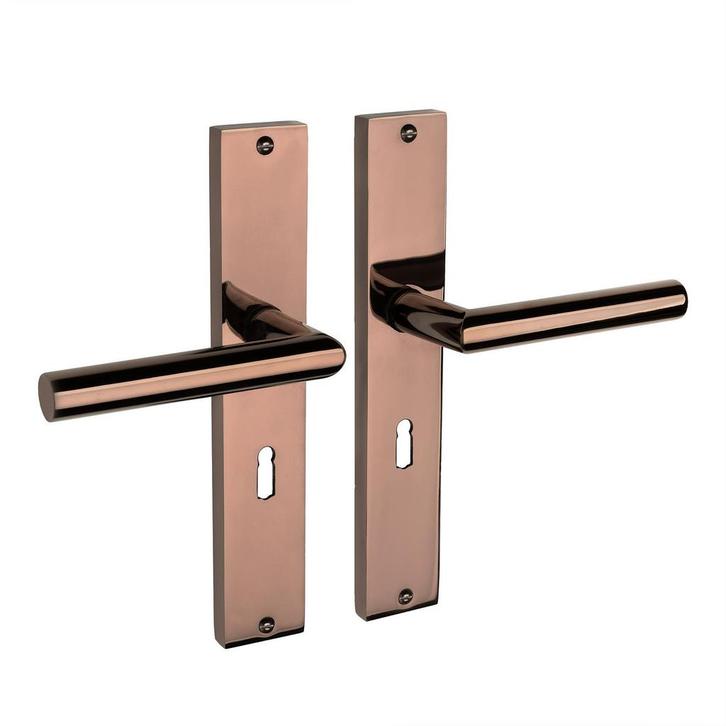 Ferro geveerd op schild sleutelgat 55mm PVD glanzend bron..., Doe-het-zelf en Bouw, Hang- en Sluitwerk, Klink of Kruk, Nieuw, IJzer