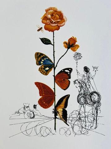 Salvador Dali (1904-1989) - La Rose Papillon - Limited beschikbaar voor biedingen