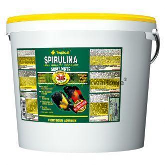 Tropical Super Spirulina Forte 36% - 5 ltr. (vlokvoer), Dieren en Toebehoren, Vissen | Aquaria en Toebehoren, Verzenden