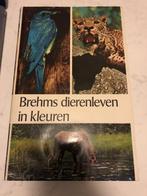 Brehms dierenleven in kleuren 9789002121012, Boeken, Gelezen, Brehm, Verzenden
