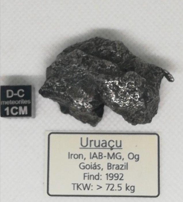 Belle Uruaçu. Météorite, IAB-MG. Oog. Topklasse. IJzer, Collections, Minéraux & Fossiles
