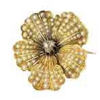 Broche - 18 karaat Geel goud - Diamant - Parel, Victoriaans