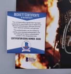 Robin Hood: Prince of Thieves - Kevin Costner - Signed 8x10, Collections