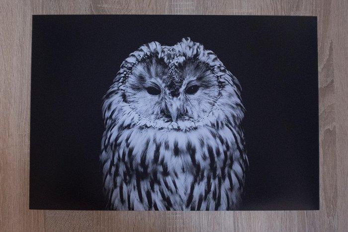 Marco Simoni - 130 cm, Antiek en Kunst, Kunst | Designobjecten