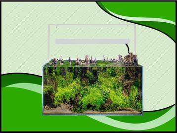 Osaka Ultrascape wit 90x60x45cm aquarium + 4x LED verlichtin, Verzenden