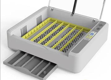 Direct geleverde Broedmachines, Inclusief gratis broedeieren beschikbaar voor biedingen