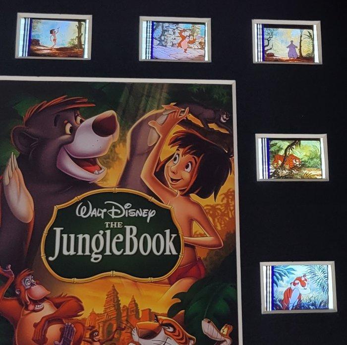 The Jungle Book - Framed Film Cell Display, Verzamelen, Disney