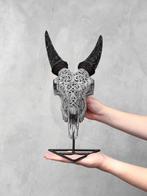 PAS DE PRIX DE RÉSERVE - Crâne de chèvre gris véritable