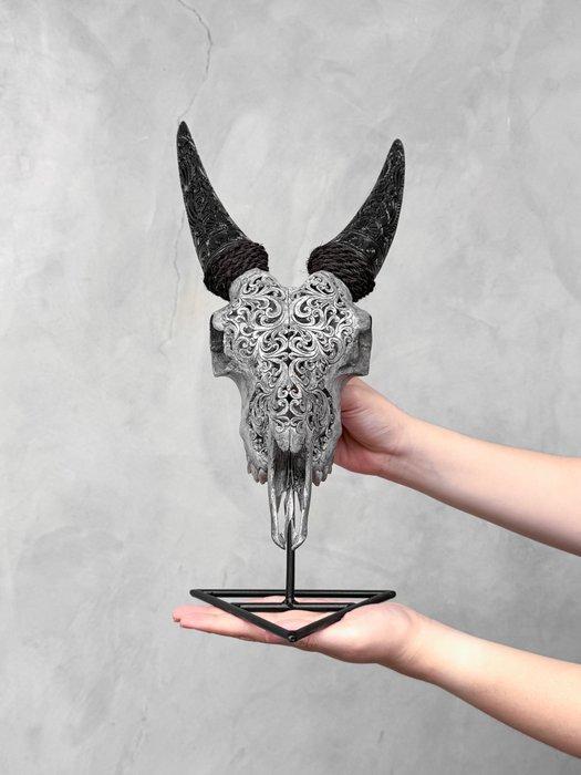 PAS DE PRIX DE RÉSERVE - Crâne de chèvre gris véritable, Antiquités & Art, Curiosités & Brocante