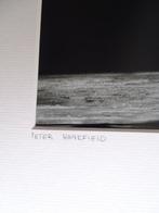 Peter Hankfield - Angus Young AC/DC