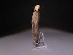 Europa Vuursteen Handbijl - mes. 8,2 cm H. Neolithicum, 6000, Antiek en Kunst