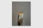 Matthieu van Riel - Falcon, Antiek en Kunst, Kunst | Schilderijen | Modern