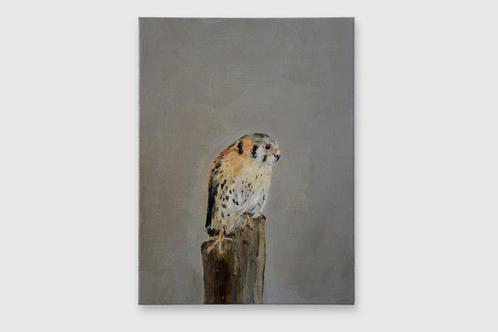 Matthieu van Riel - Falcon, Antiek en Kunst, Kunst | Schilderijen | Modern
