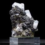 Zeskantige calciet op pyriet – zeldzame formatie - Hoogte: