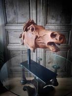 Sculpture, Grande tête de cheval - Terre cuite - Seconde, Antiquités & Art, Antiquités | Céramique & Poterie