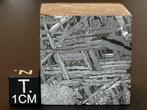 Aletai meteoriet Kubus - Hoogte: 29 mm - Breedte: 29 mm -, Verzamelen