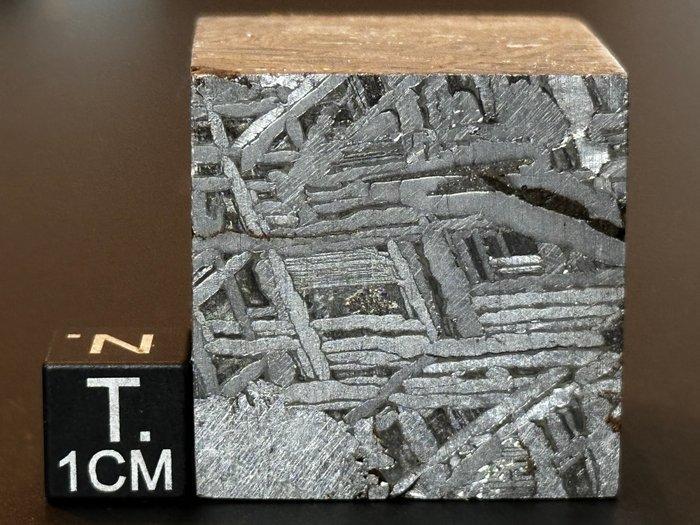 Aletai meteoriet Kubus - Hoogte: 29 mm - Breedte: 29 mm -, Verzamelen, Mineralen en Fossielen