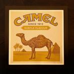 Camel - Lichtreclame bord van Camel - Lichtbord - Plastic,