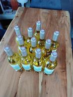 2021 Wine Surf, Blanc Bio - Bordeaux Bordeaux Blanc - 12, Nieuw