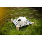 Hangmat, voor knaagdieren, 38 x 38 cm - kerbl, Dieren en Toebehoren, Knaagdieren en Konijnen | Toebehoren, Nieuw
