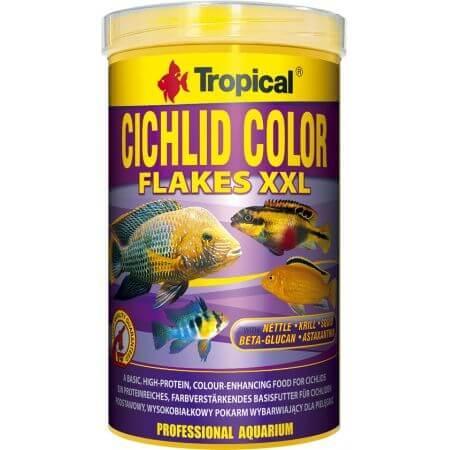 Tropical Cichlid color XXL size - 5 ltr., Animaux & Accessoires, Poissons | Poissons d'aquarium