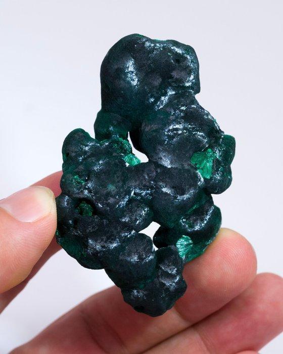 Malachite botryoïdale excellente avec Chantilly - Hauteur :, Collections, Minéraux & Fossiles