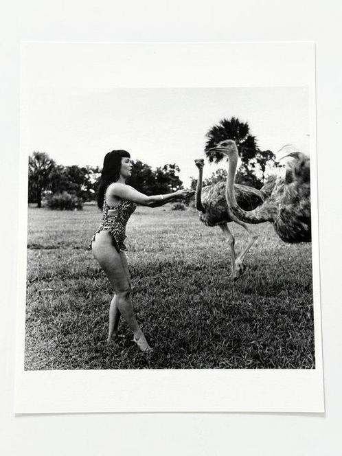 Bunny Yeager (1929-2014) - Pin-Up Bettie Page playing with, Antiek en Kunst, Kunst | Schilderijen | Modern