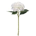 Hortensia Hydrangea Ivoorwit 51cm. Hortensia
