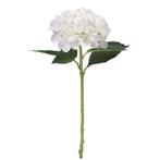 Hortensia Hydrangea Ivoorwit 51cm. Hortensia, Nieuw