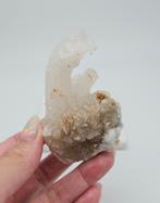 Ramshoorn Seleniet (zie filmpje), Ophalen of Verzenden