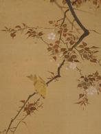 Zeer fraaie hangende rol Yellow bird, sakura and sweet