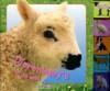 Dierenbabys in de wei 9789020691719 C. Gunzi, Boeken, Kinderboeken | Baby's en Peuters, Gelezen, Verzenden