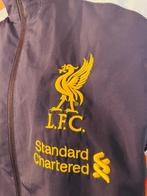 Liverpool - Engelse voetbalcompetitie - 2012 - Voetbalshirt, Nieuw