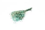 Geprepareerd gepreserveerd gipskruid aquamarijn turquoise 60, Nieuw