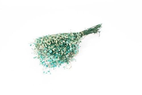 Geprepareerd gepreserveerd gipskruid aquamarijn turquoise 60, Huis en Inrichting, Woonaccessoires | Kunstplanten en Kunstbloemen