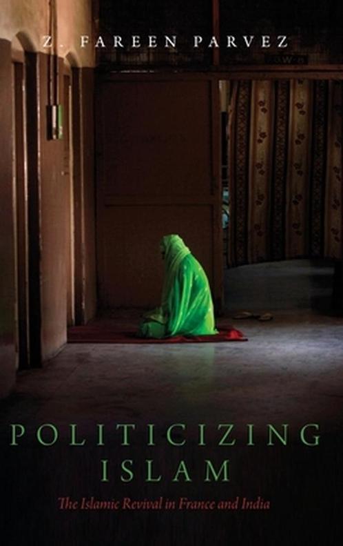 Politicizing Islam 9780190225247, Boeken, Overige Boeken, Gelezen, Verzenden